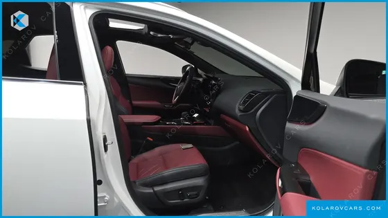 LEXUS NX PREMIUM