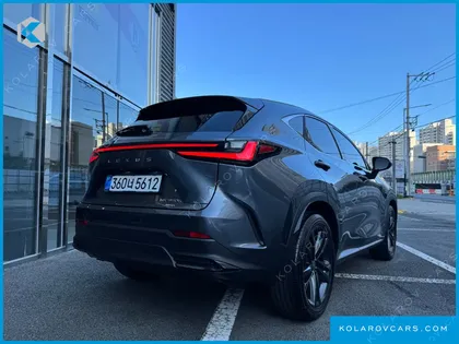 LEXUS NX PREMIUM