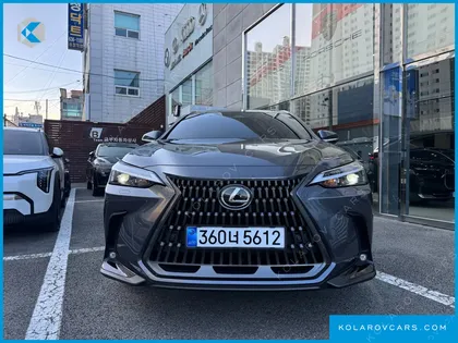 LEXUS NX PREMIUM
