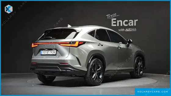 LEXUS NX PREMIUM