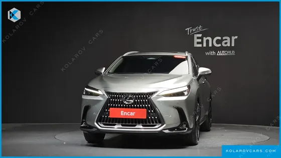 LEXUS NX PREMIUM