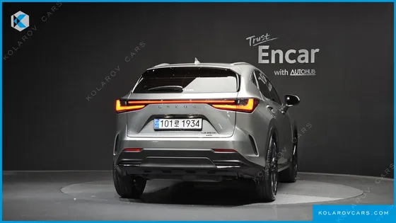 LEXUS NX PREMIUM