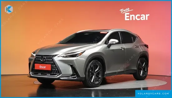 LEXUS NX PREMIUM
