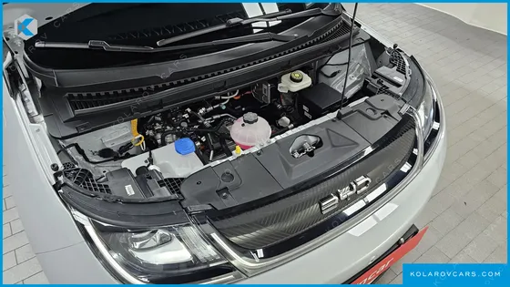 BYD DOLPHIN BASE