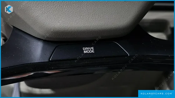 KIA CARNIVAL GASOLINE 7-SEATER NOBLESSE