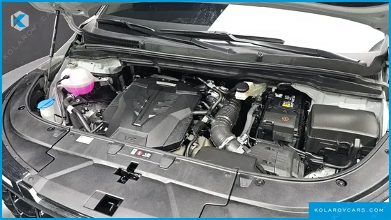 KIA CARNIVAL GASOLINE 9 SEATER X LINE