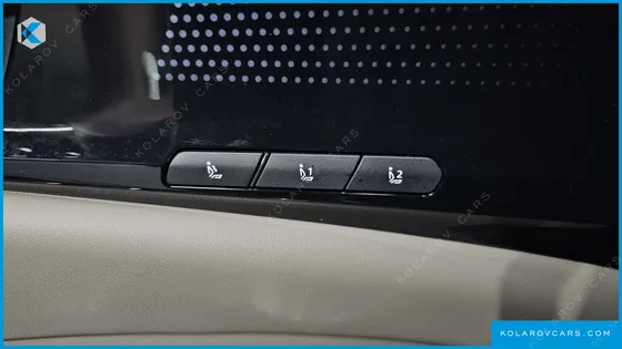KIA CARNIVAL GASOLINE 9 SEATER X LINE