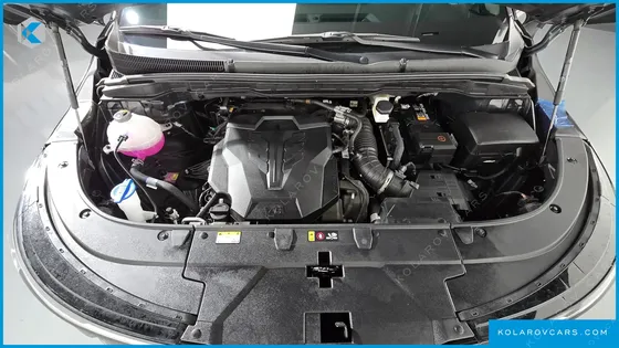 KIA CARNIVAL GASOLINE 9 SEATER X LINE