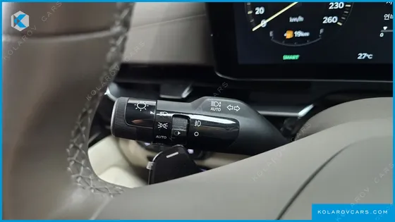 KIA CARNIVAL GASOLINE 9 SEATER X LINE