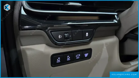 KIA CARNIVAL GASOLINE 9 SEATER X LINE