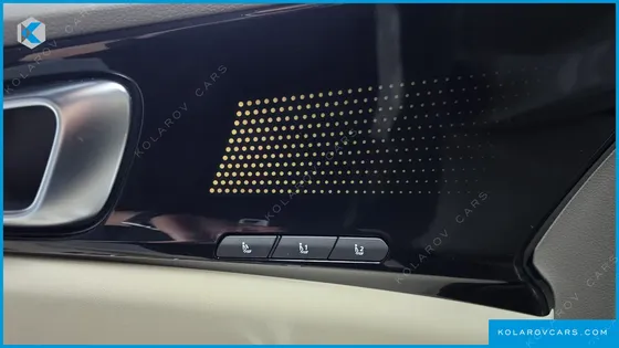 KIA CARNIVAL GASOLINE 9 SEATER X LINE