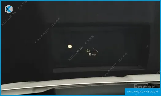 KIA CARNIVAL GASOLINE 9-SEATER HI LIMOUSINE (7-SEATER LIMOUSINE(SPECIAL VEHICLE)