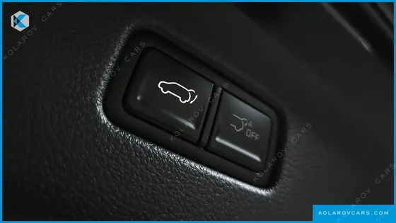 KIA CARNIVAL GASOLINE 9-SEATER NOBLESSE