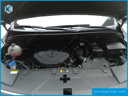KIA CARNIVAL DIESEL 9-SEATER HI-LIMOUSINE