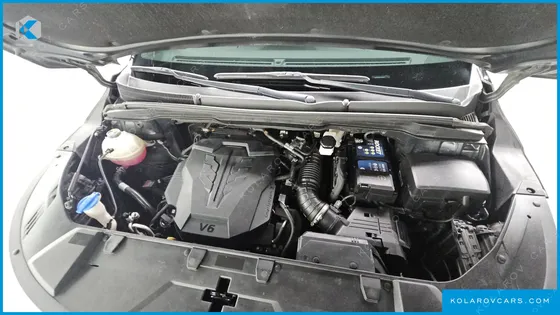 KIA CARNIVAL GASOLINE 9-SEATER HI-LIMOUSINE