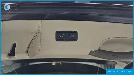 KIA CARNIVAL GASOLINE 9-SEATER HI LIMOUSINE