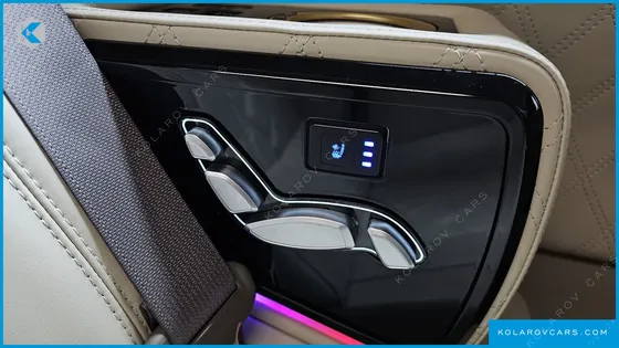 KIA CARNIVAL GASOLINE 9-SEATER HI LIMOUSINE