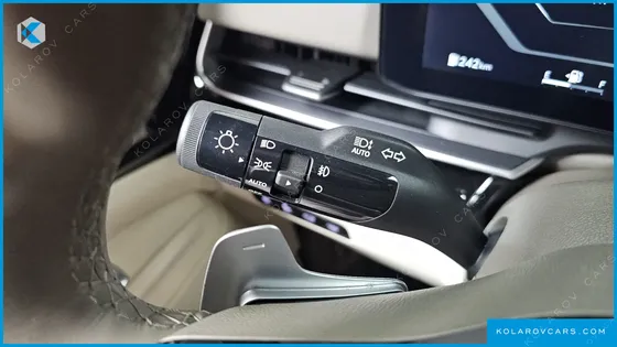 KIA CARNIVAL GASOLINE 9-SEATER HI LIMOUSINE