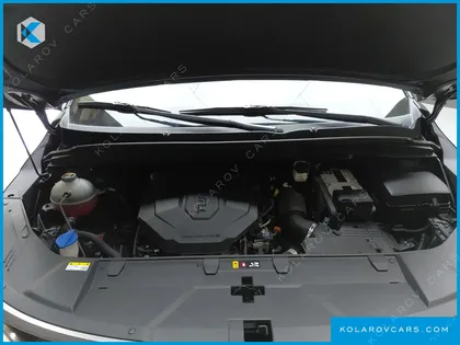 KIA CARNIVAL DIESEL 9-SEATER NOBLESSE