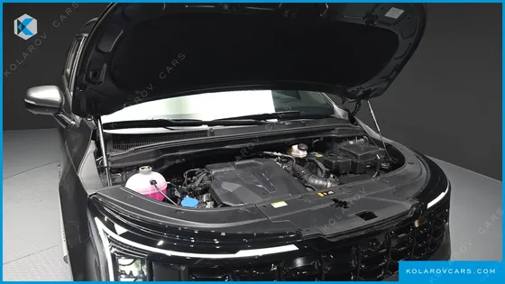 KIA CARNIVAL GASOLINE 9-SEATER GRAVITY