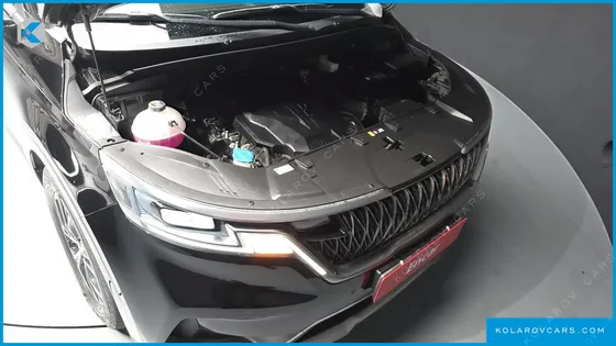KIA CARNIVAL GASOLINE 9-SEATER NOBLESSE
