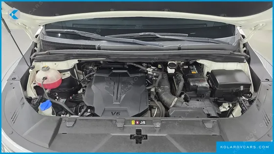 KIA CARNIVAL GASOLINE 9-SEATER NOBLESSE