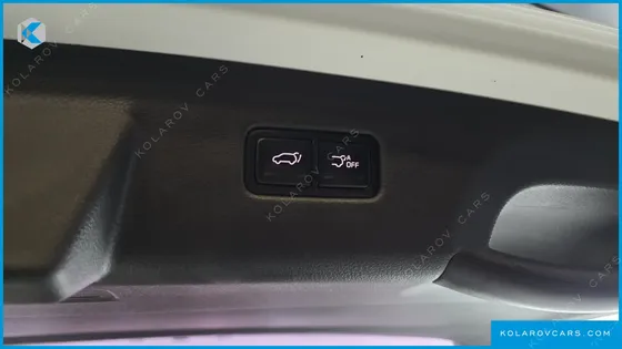 KIA CARNIVAL GASOLINE 9-SEATER NOBLESSE