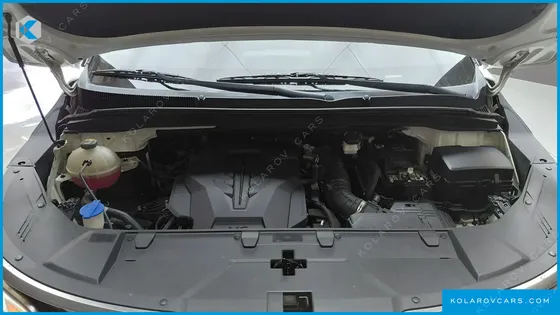 KIA CARNIVAL GASOLINE 9-SEATER NOBLESSE
