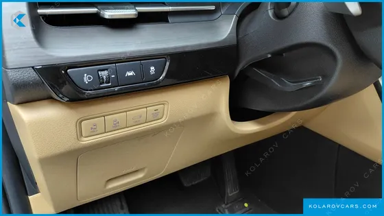 KIA CARNIVAL GASOLINE 9-SEATER NOBLESSE