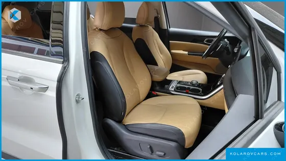 KIA CARNIVAL GASOLINE 9-SEATER NOBLESSE