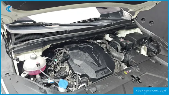 KIA CARNIVAL GASOLINE 7-SEATER HI-LIMOUSINE