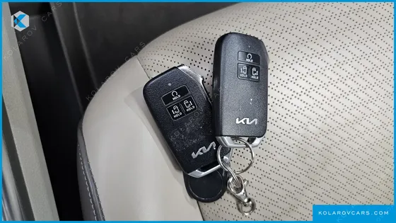 KIA CARNIVAL GASOLINE 7-SEATER HI-LIMOUSINE