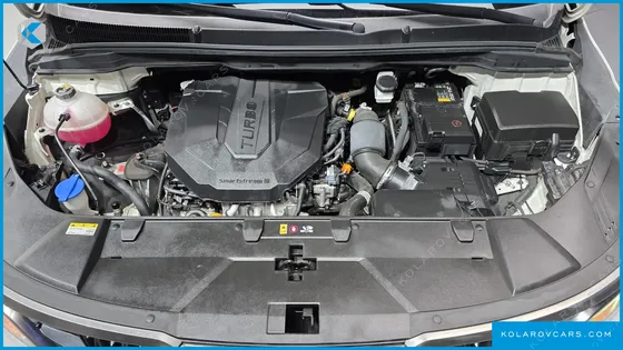 KIA CARNIVAL DIESEL 9-SEATER NOBLESSE