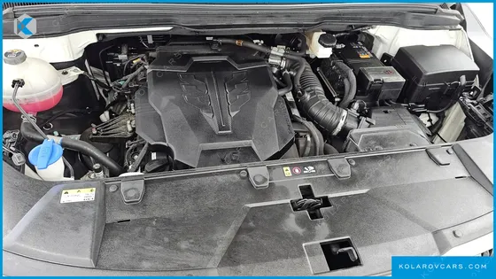 KIA CARNIVAL GASOLINE 9-SEATER HI-LIMOUSINE