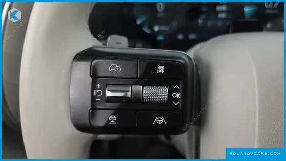 HYUNDAI PALISADE GASOLINE 2.5T 2WD 9-SEATER