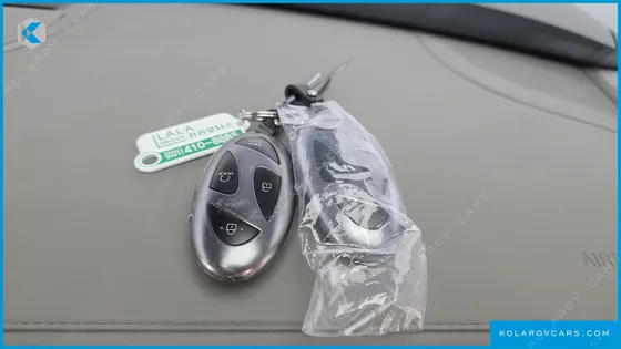 HYUNDAI PALISADE GASOLINE 2.5T 2WD 9-SEATER