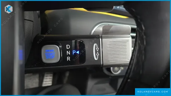HYUNDAI PALISADE HEV 2.5T 4WD 9-SEATER