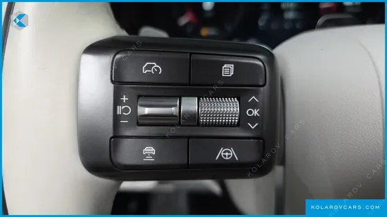 HYUNDAI PALISADE GASOLINE 2.5T 2WD 9-SEATER