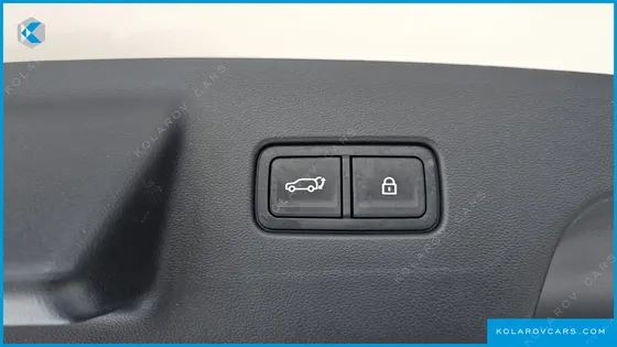 HYUNDAI PALISADE HEV 2.5T 4WD 9-SEATER