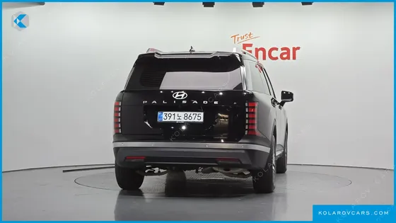 HYUNDAI PALISADE GASOLINE 2.5T 2WD 9-SEATER