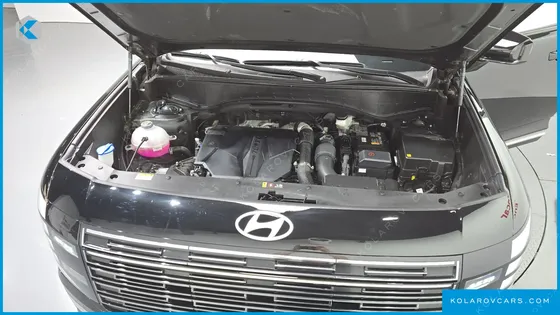 HYUNDAI PALISADE GASOLINE 2.5T 2WD 9-SEATER