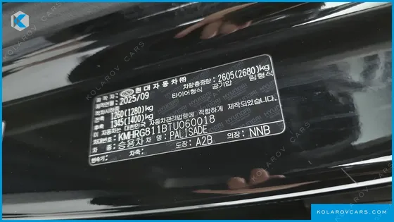 HYUNDAI PALISADE GASOLINE 2.5T 2WD 9-SEATER