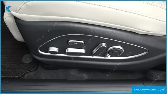 HYUNDAI PALISADE HEV 2.5T 4WD 9-SEATER