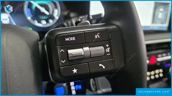 HYUNDAI PALISADE HEV 2.5T 2WD 9-SEATER