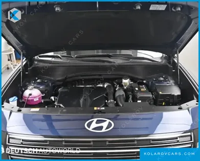 HYUNDAI PALISADE GASOLINE 2.5T 4WD 9-SEATER