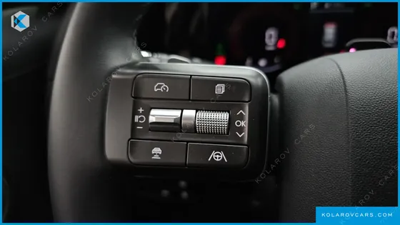 HYUNDAI PALISADE HEV 2.5T 4WD 9-SEATER