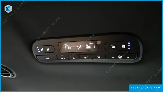 HYUNDAI PALISADE HEV 2.5T 4WD 9-SEATER