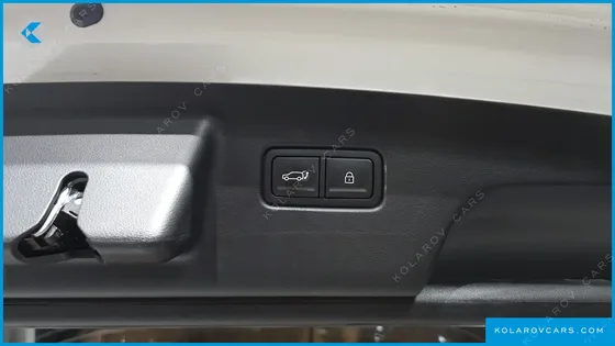 HYUNDAI PALISADE HEV 2.5T 4WD 9-SEATER