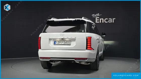 HYUNDAI PALISADE GASOLINE 2.5T 2WD 9-SEATER