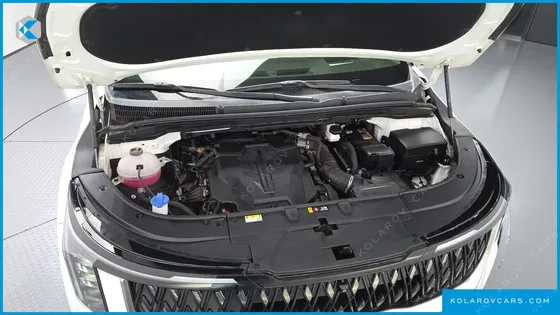 KIA CARNIVAL GASOLINE 9-SEATER SIGNATURE